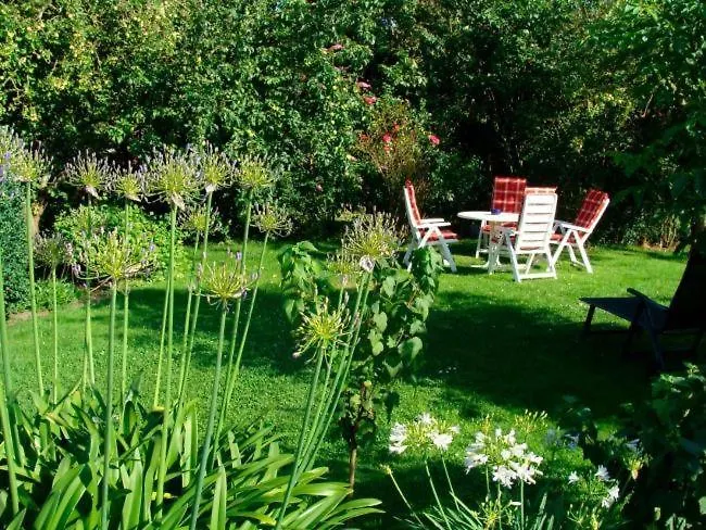 Seeperle - Sturmvogel